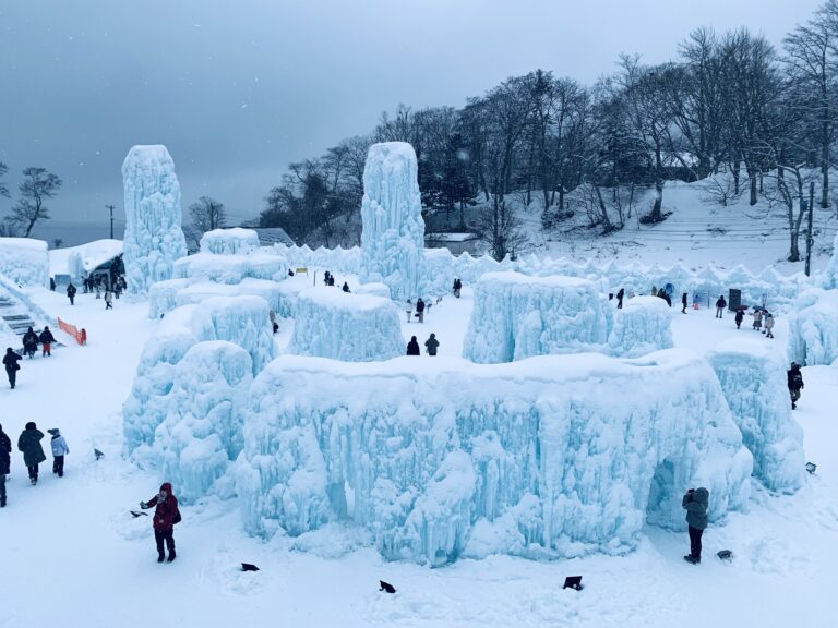 壮大な氷像を目の前に大興奮！