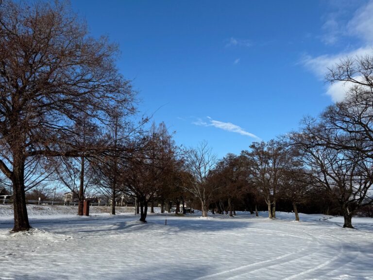 滋賀で雪中キャンプを始めるならここ！